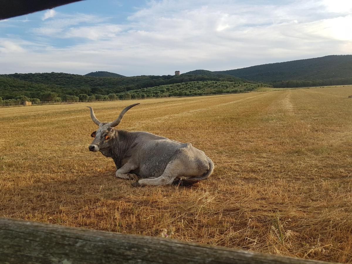 Tenuta Agricola Dell'Uccellina Мальяно-ин-Тоскана Экстерьер фото