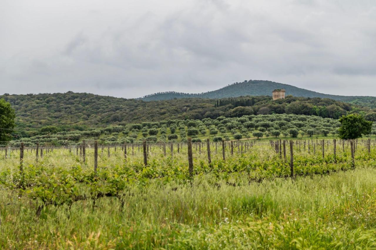Tenuta Agricola Dell'Uccellina Мальяно-ин-Тоскана Экстерьер фото