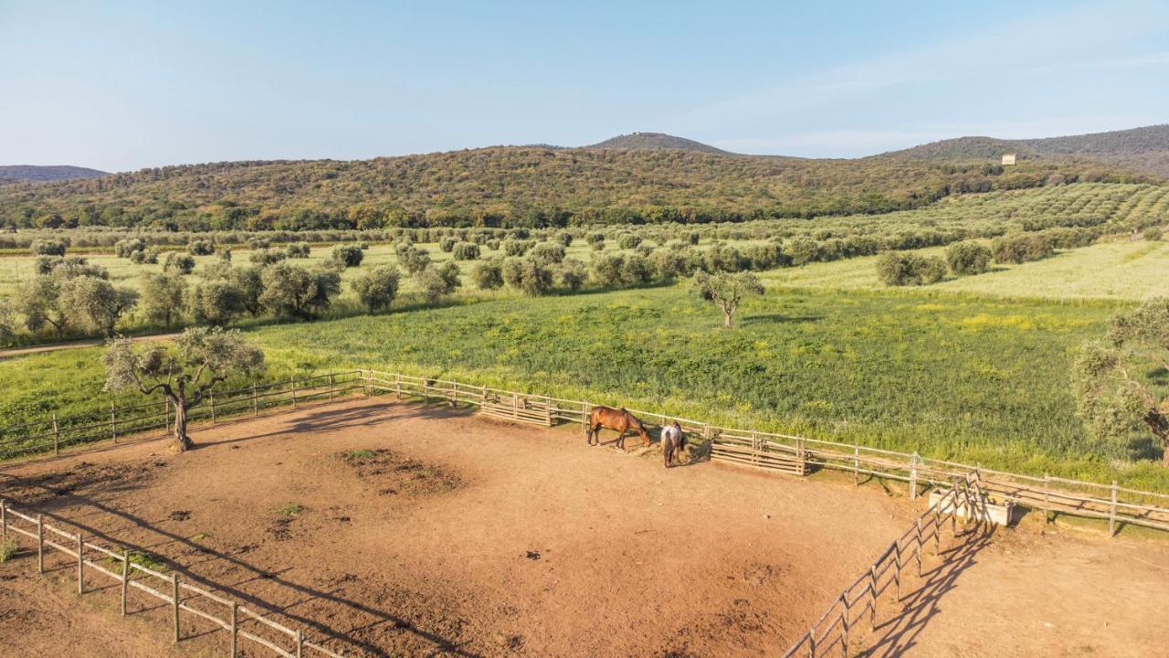 Tenuta Agricola Dell'Uccellina Мальяно-ин-Тоскана Экстерьер фото