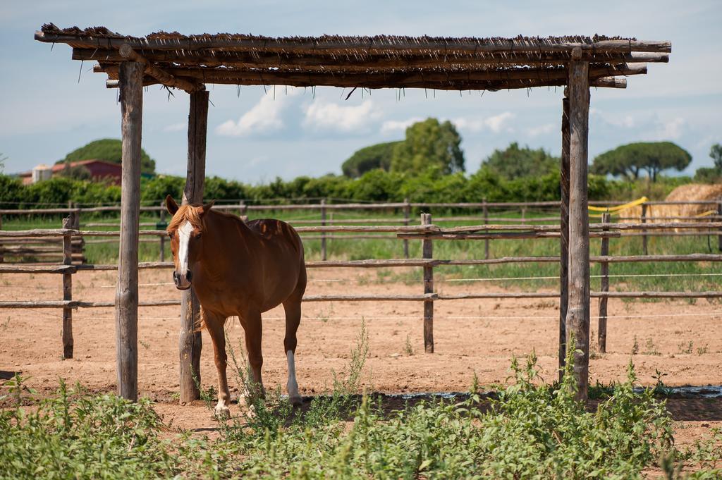 Tenuta Agricola Dell'Uccellina Мальяно-ин-Тоскана Экстерьер фото